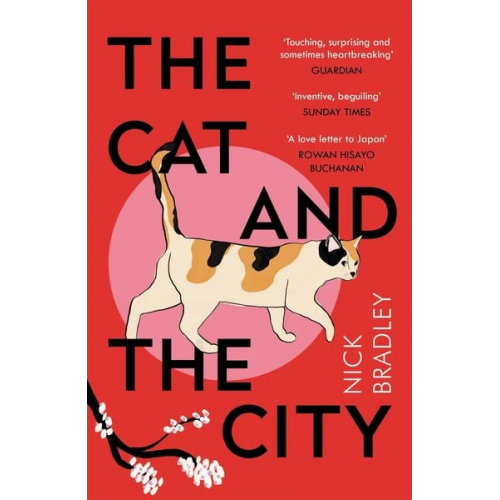 Nick Bradley - The Cat and The City