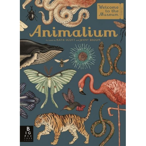 Jenny Broom - Animalium