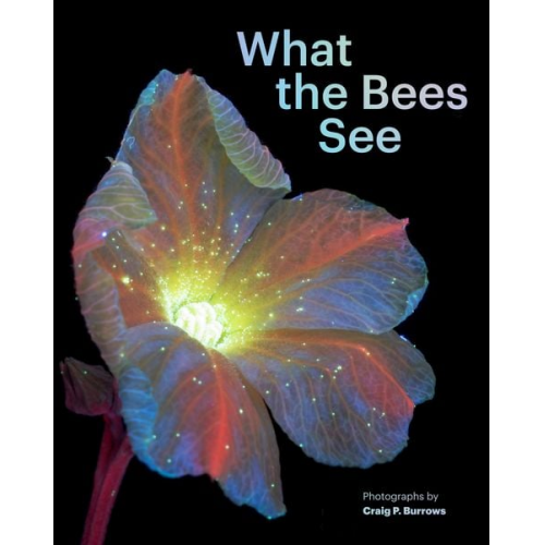 Craig P. Burrows - What the Bees See