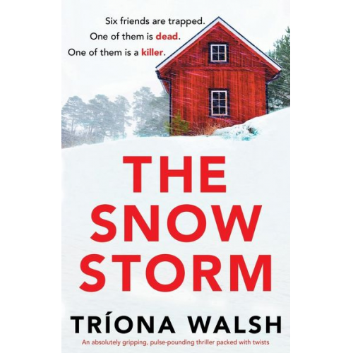 Tríona Walsh - The Snowstorm