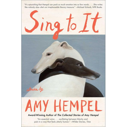 Amy Hempel - Sing to It