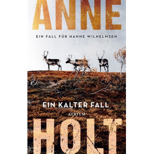 Anne Holt - Ein kalter Fall