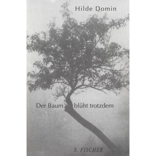 Hilde Domin - Der Baum blüht trotzdem