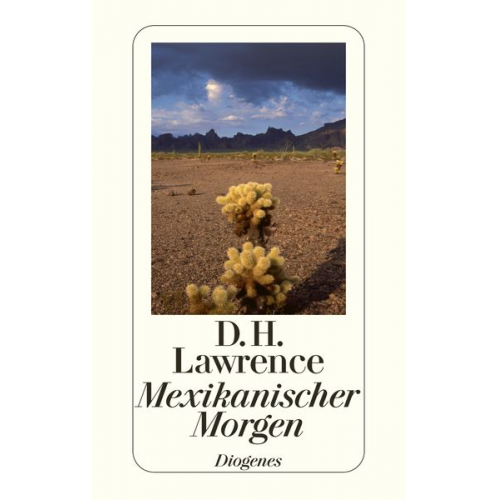 D.H. Lawrence - Mexikanischer Morgen