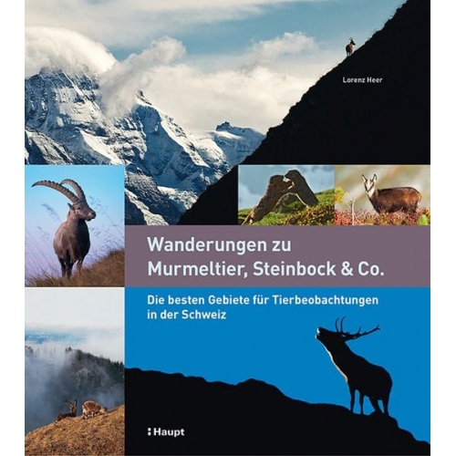 Lorenz Heer - Wanderungen zu Murmeltier, Steinbock & Co.