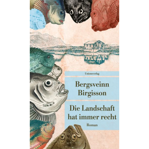 Bergsveinn Birgisson - Die Landschaft hat immer recht