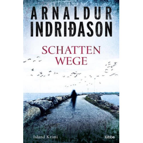 Arnaldur Indriðason - Schattenwege