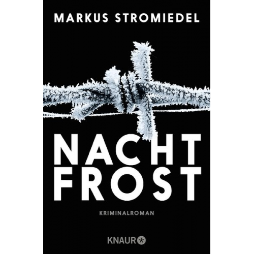 Markus Stromiedel - Nachtfrost