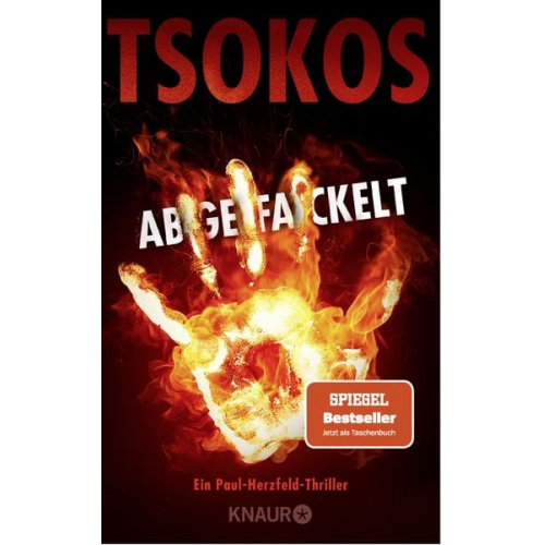 Michael Tsokos - Abgefackelt