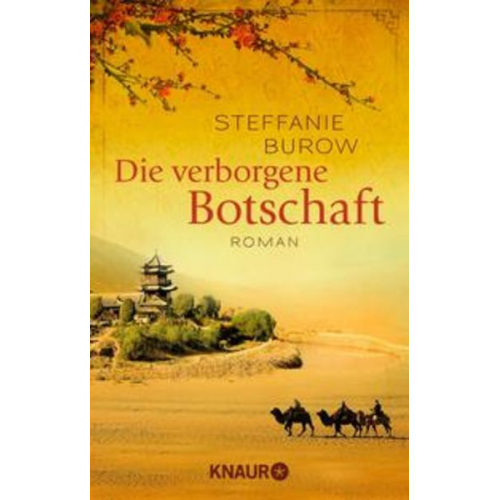 Steffanie Burow - Die verborgene Botschaft