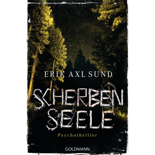 Erik Axl Sund - Scherbenseele