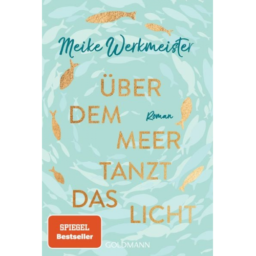 Meike Werkmeister - Über dem Meer tanzt das Licht