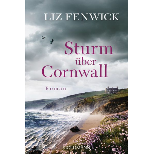 Liz Fenwick - Sturm über Cornwall