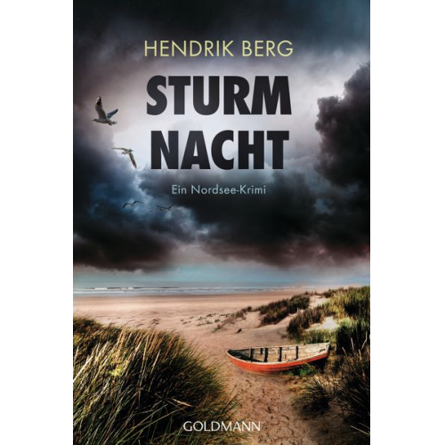 Hendrik Berg - Sturmnacht