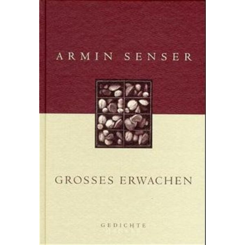 Armin Senser - Großes Erwachen