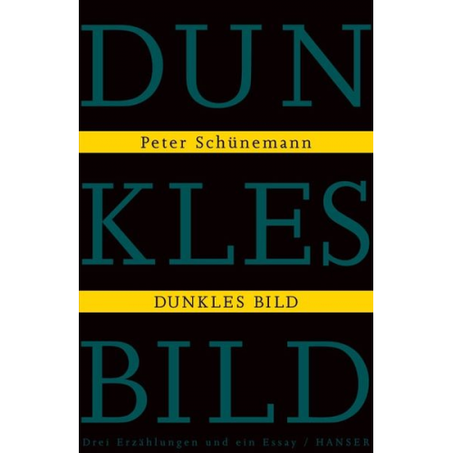 Peter Schünemann - Dunkles Bild