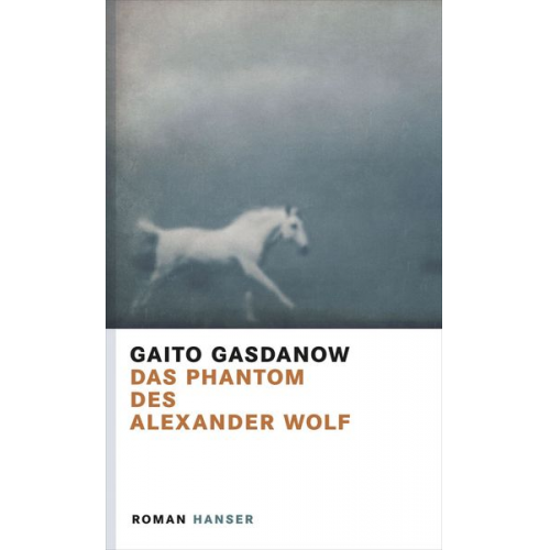 Gaito Gasdanow - Das Phantom des Alexander Wolf