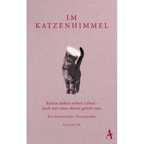 Im Katzenhimmel