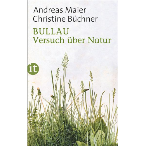 Andreas Maier Christine Büchner - Bullau