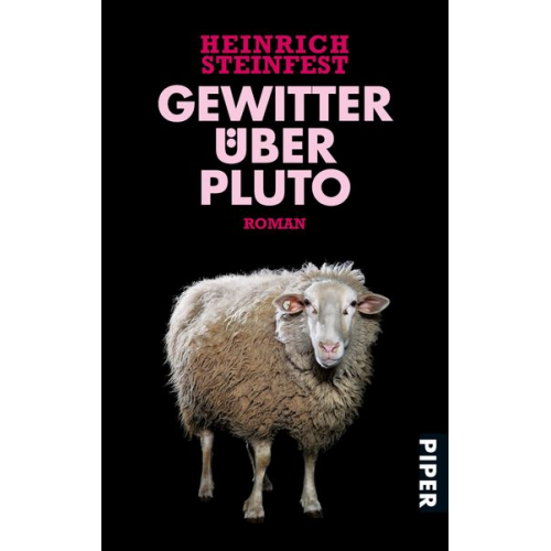 Heinrich Steinfest - Gewitter über Pluto