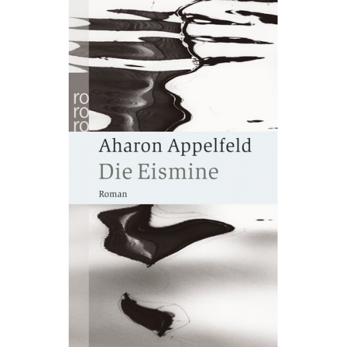 Aharon Appelfeld - Die Eismine