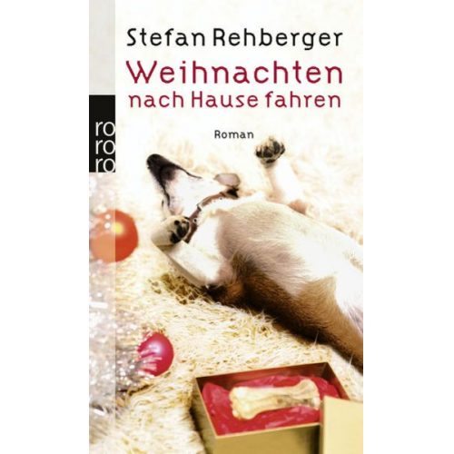 Stefan Rehberger - Weihnachten nach Hause fahren