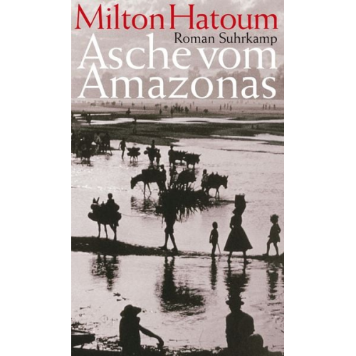 Milton Hatoum - Asche vom Amazonas