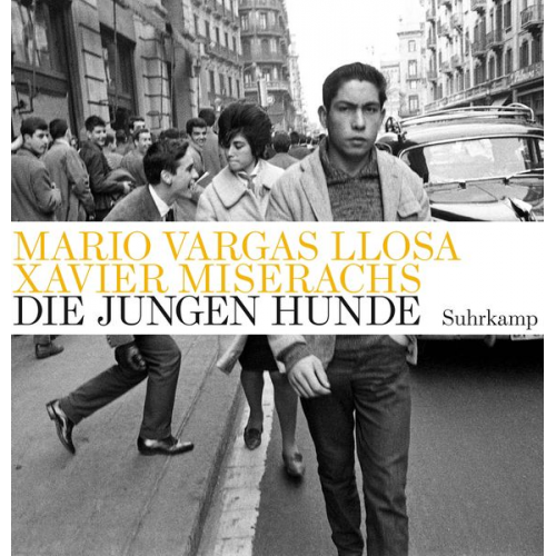 Mario Vargas Llosa - Die jungen Hunde