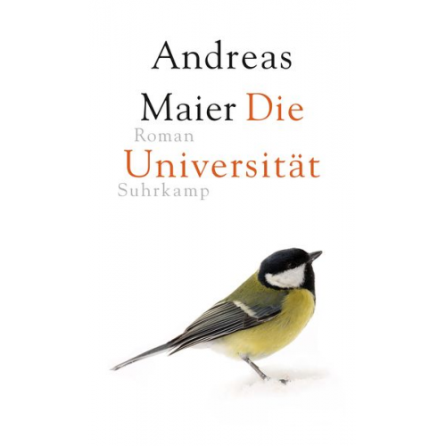 Andreas Maier - Die Universität