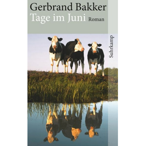 Gerbrand Bakker - Tage im Juni