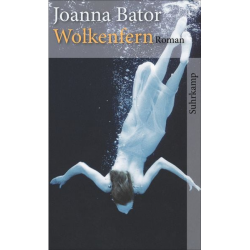 Joanna Bator - Wolkenfern