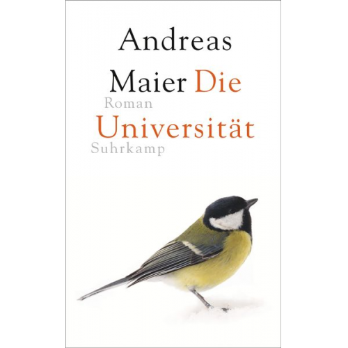 Andreas Maier - Die Universität