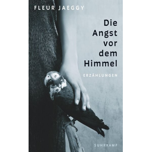 Fleur Jaeggy - Die Angst vor dem Himmel