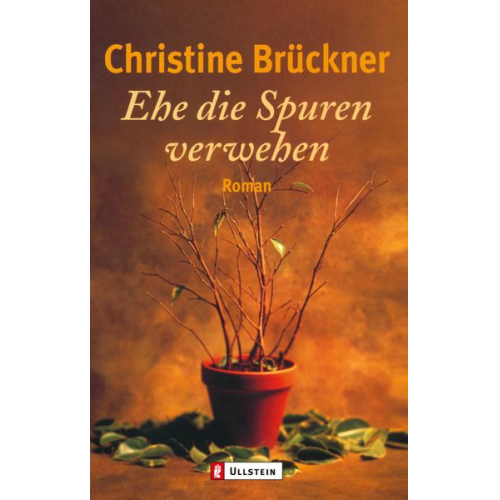 Christine Brückner - Ehe die Spuren verwehen