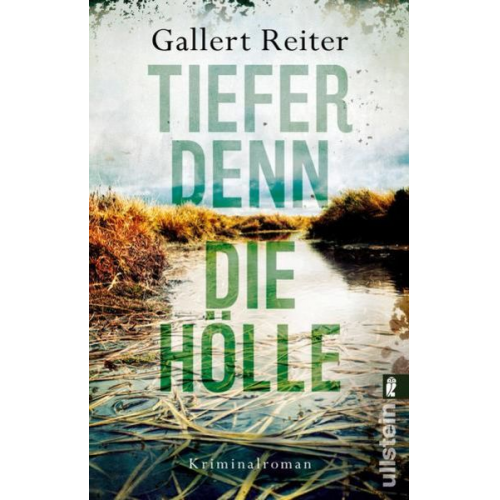 Peter Gallert Jörg Reiter - Tiefer denn die Hölle (Ein Martin-Bauer-Krimi 2)