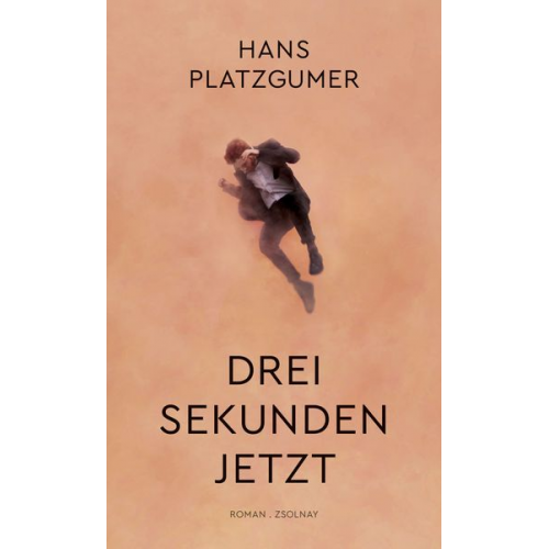 Hans Platzgumer - Drei Sekunden Jetzt