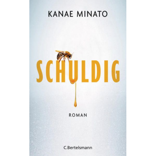 Kanae Minato - Schuldig