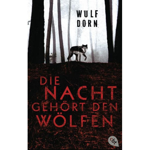 Wulf Dorn - Die Nacht gehört den Wölfen