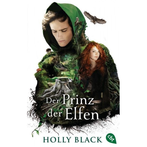 Holly Black - Der Prinz der Elfen