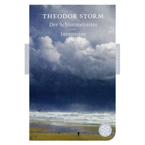 Theodor Storm - Der Schimmelreiter / Immensee