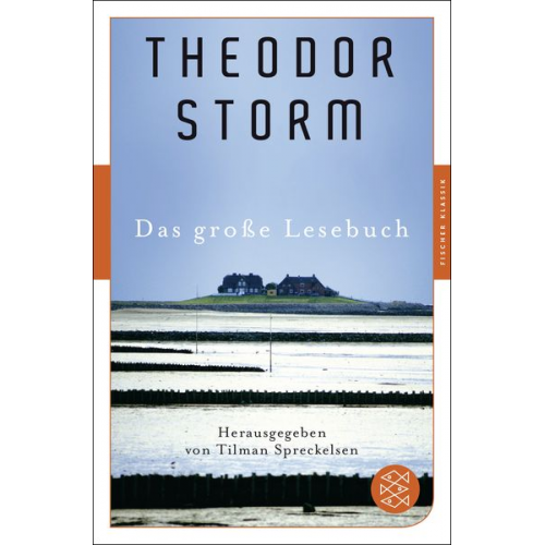 Theodor Storm - Das große Lesebuch