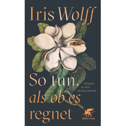 Iris Wolff - So tun, als ob es regnet