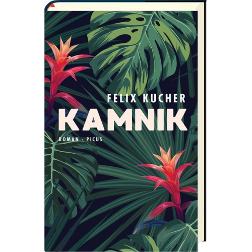 Felix Kucher - Kamnik