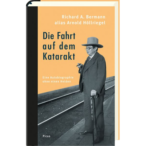 Richard A. Bermann - Die Fahrt auf dem Katarakt