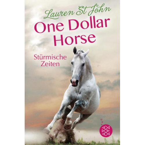 Lauren St John - Stürmische Zeiten / One Dollar Horse Bd. 3