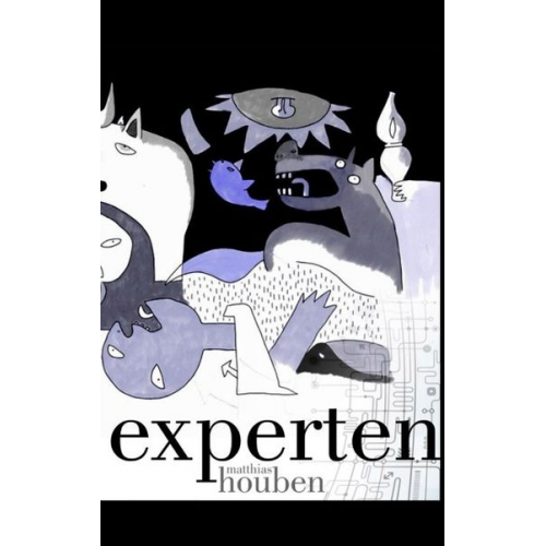 Matthias Houben - Experten