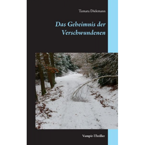 Tamara Diekmann - Das Geheimnis der Verschwundenen