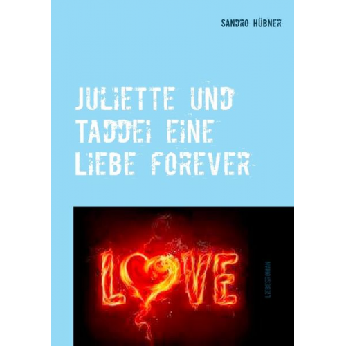 Sandro Hübner - Juliette und Taddei eine Liebe forever