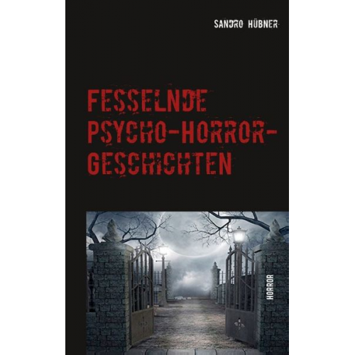 Sandro Hübner - Fesselnde Psycho-Horror-Geschichten