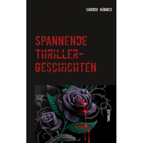 Sandro Hübner - Spannende Thriller-Geschichten